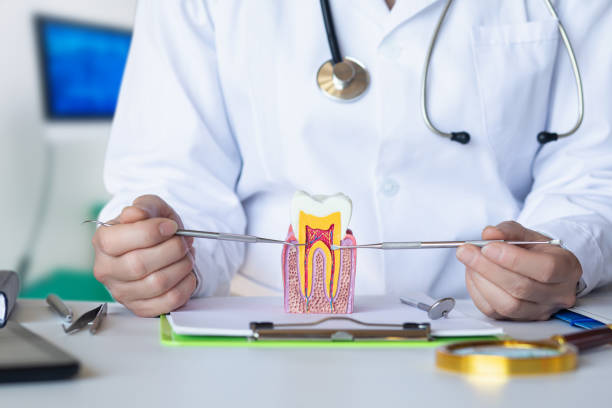 Best Same-Day Emergency Dentist in Camp Barrett, VA